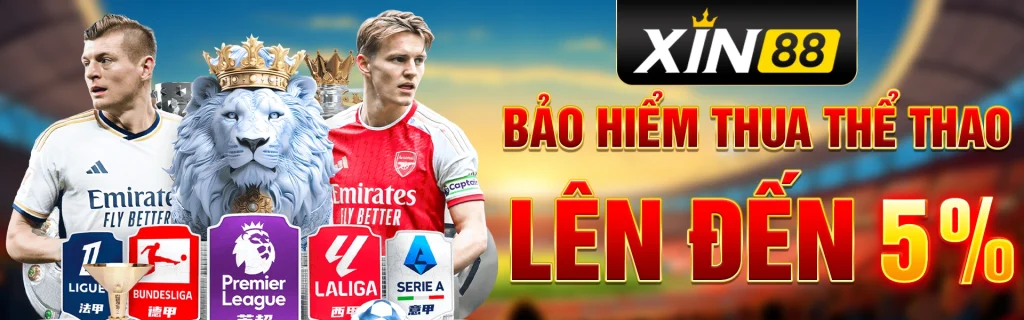 banner-2-xin881-ltd